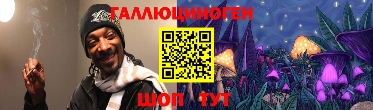 Котлас  Псилоцибиновые грибы Psilocybine cubensis  купить наркоту  Вход с VPN 